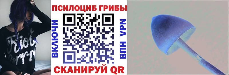 Галлюциногенные грибы MAGIC MUSHROOMS  хочу   Карабаш 